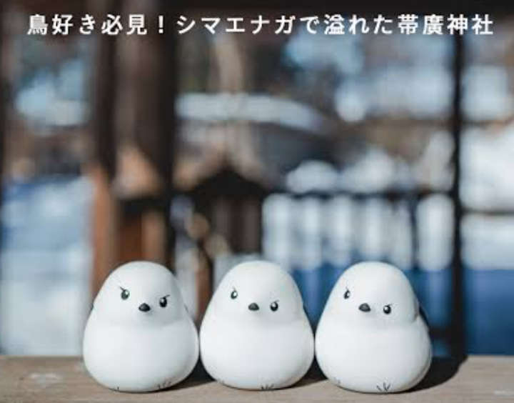 いろんな御守り、おみくじが見たい
