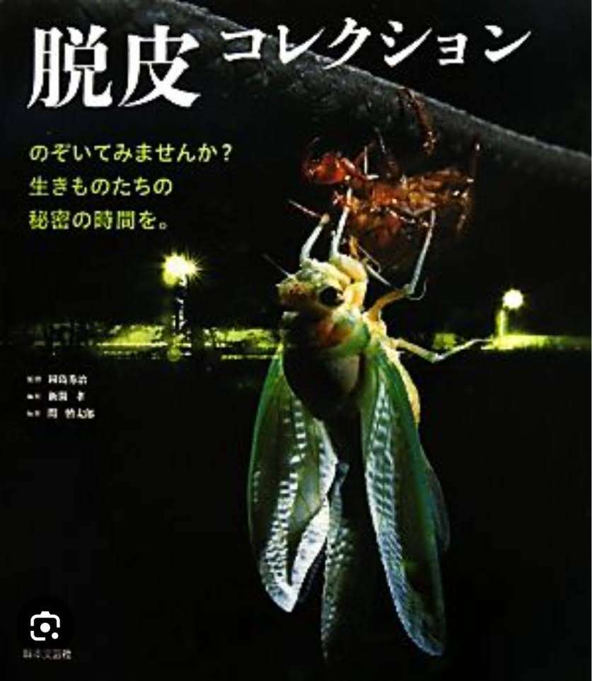 似てる【ロゴ】