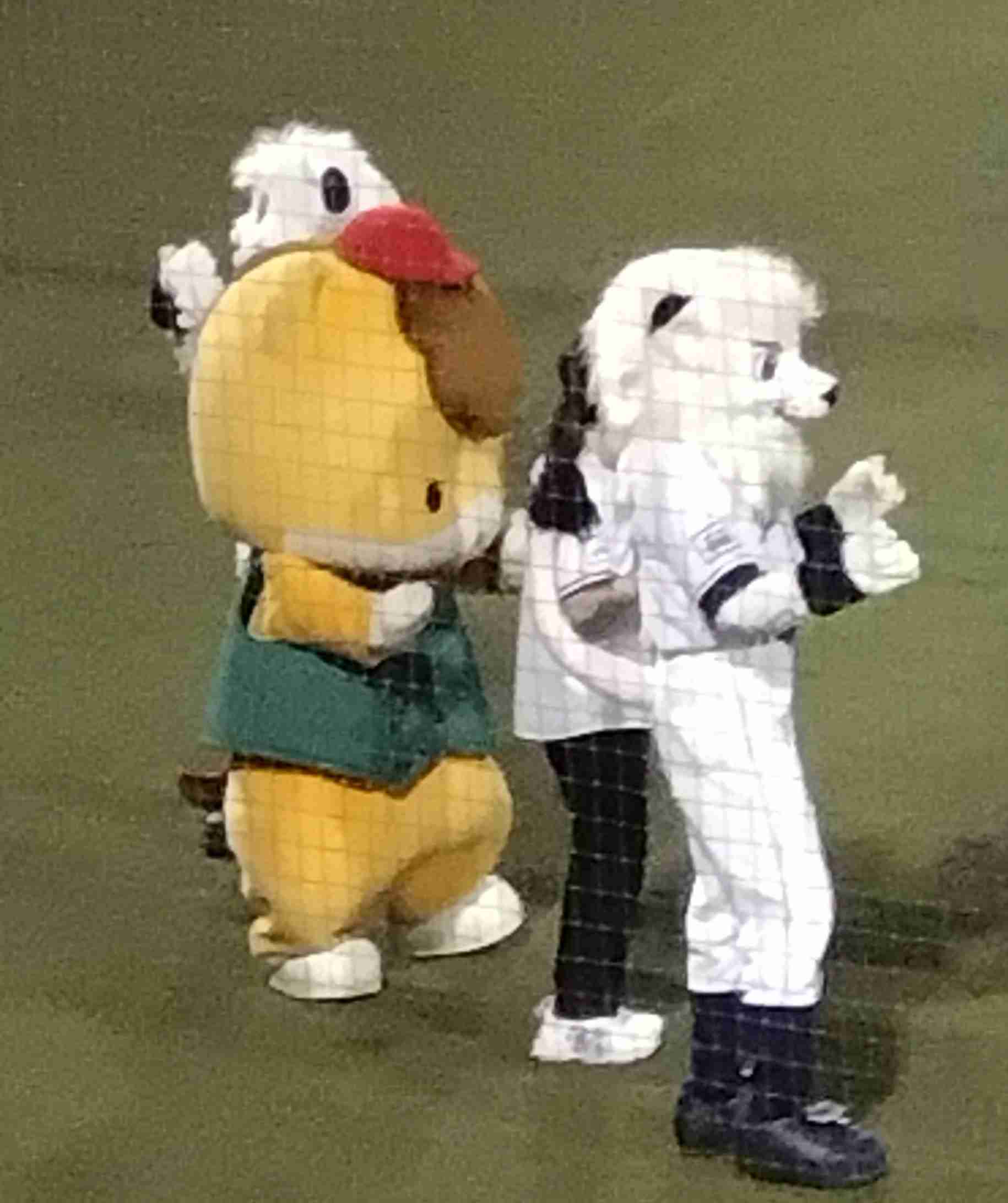 ぐんまちゃんを語りたいPart2