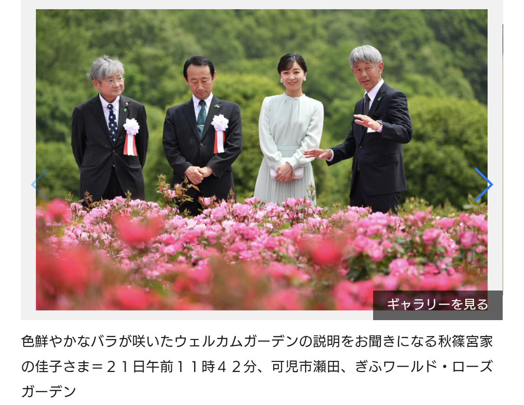 比較されがちなこと