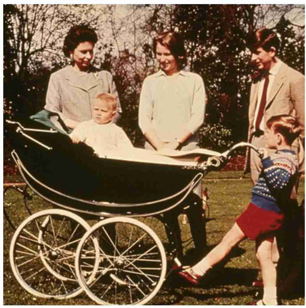 比較されがちなこと