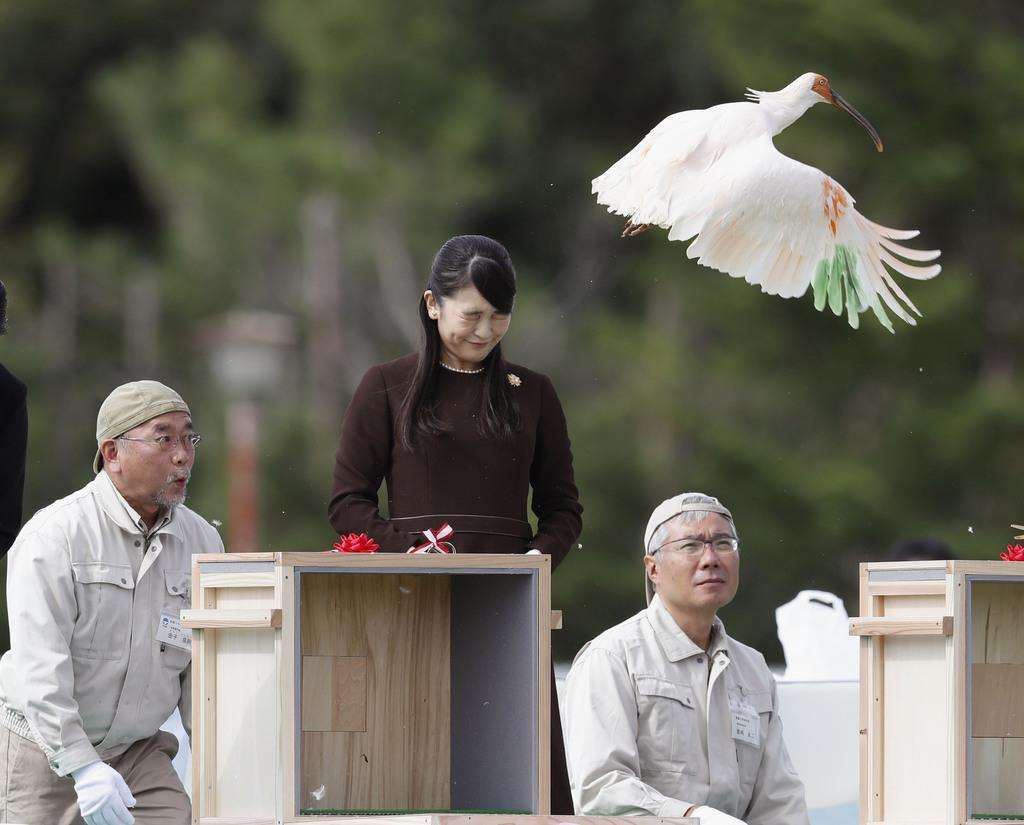 比較されがちなこと