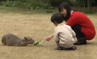 比較されがちなこと