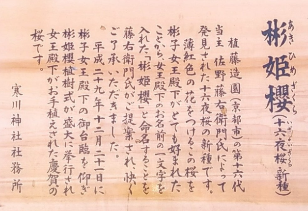 比較されがちなこと