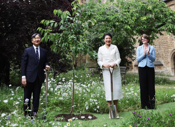 比較されがちなこと