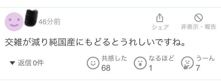 比較されがちなこと