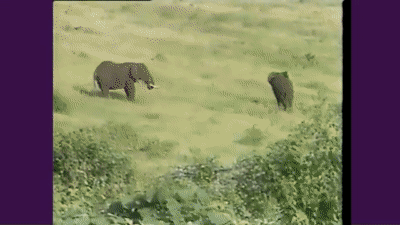 比較されがちなこと