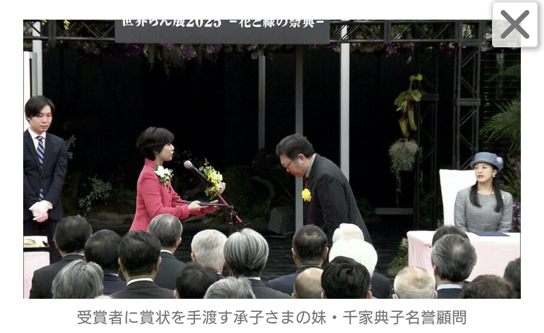 比較されがちなこと