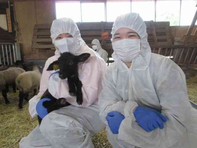 比較されがちなこと