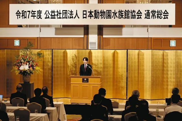 比較されがちなこと