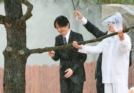 比較されがちなこと