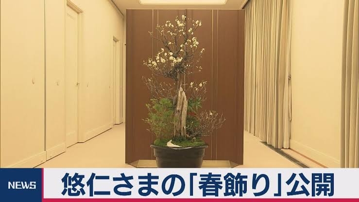 比較されがちなこと