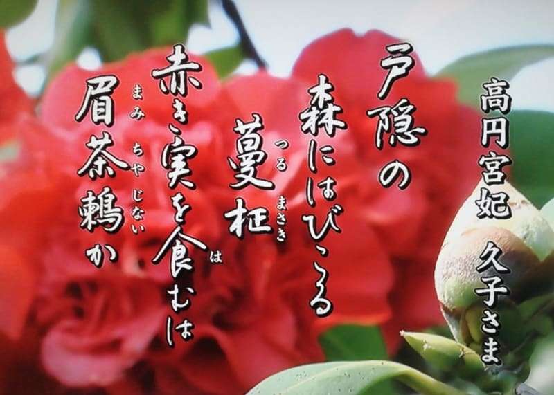 比較されがちなこと