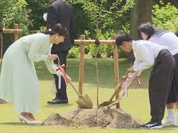 比較されがちなこと