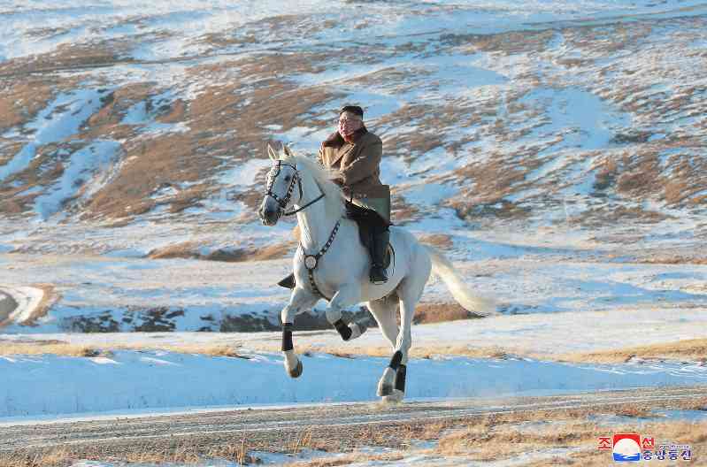 比較されがちなこと