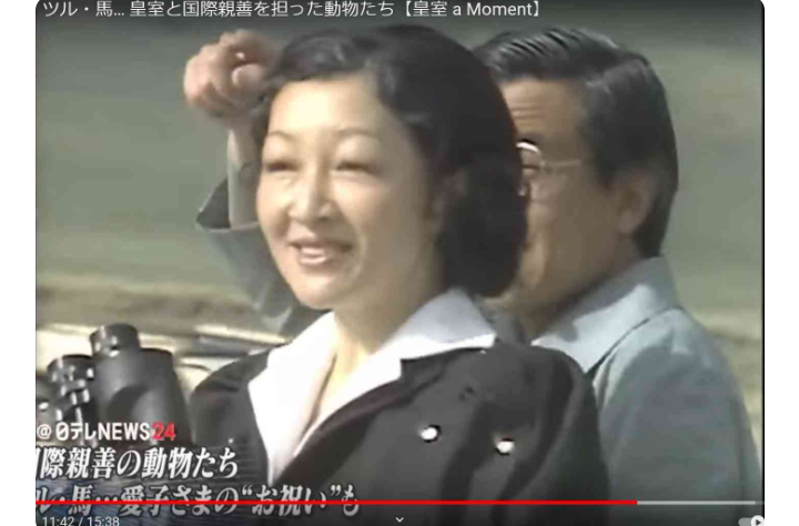 比較されがちなこと