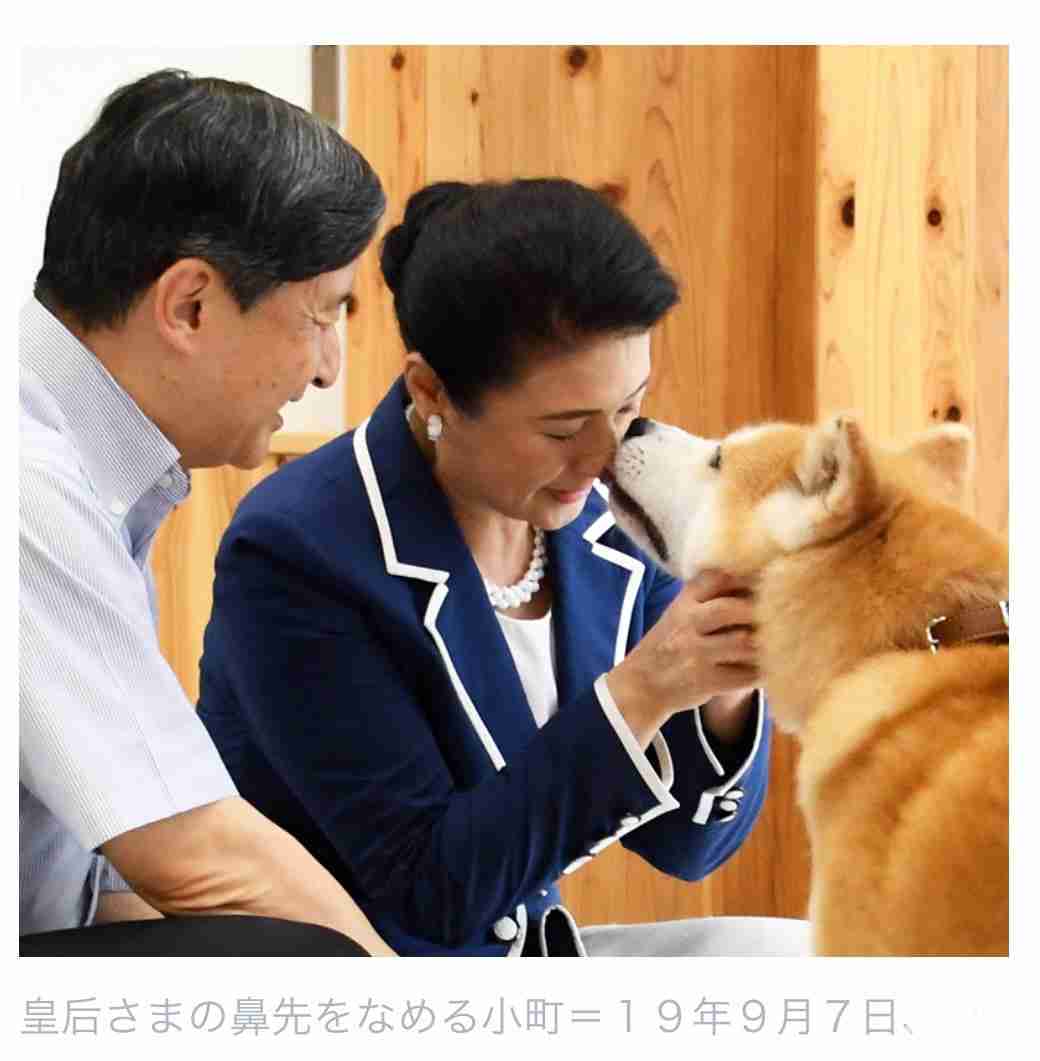 比較されがちなこと