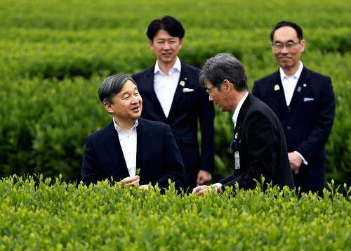 比較されがちなこと