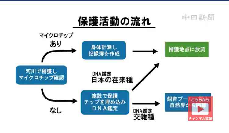 比較されがちなこと