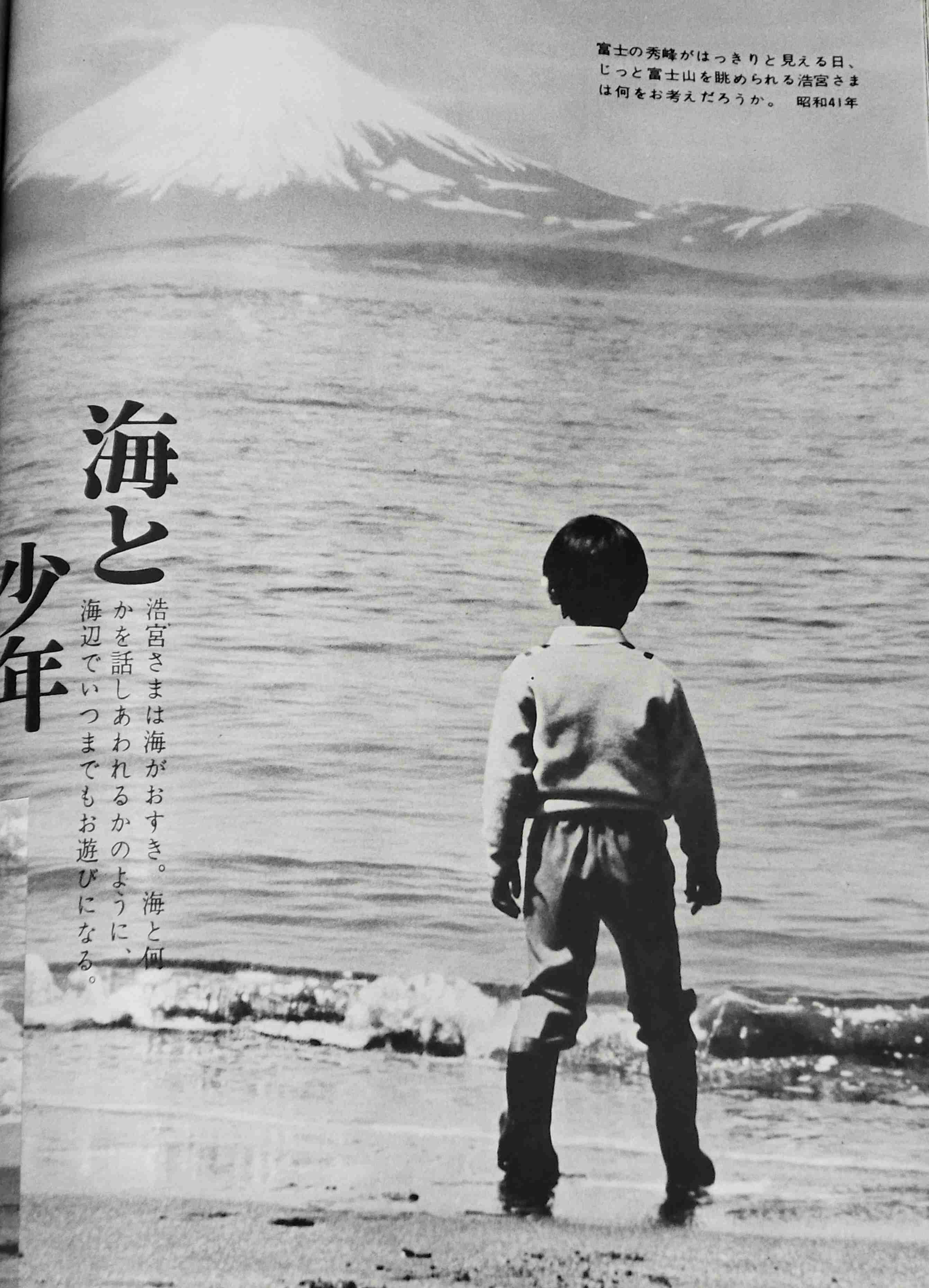 比較されがちなこと