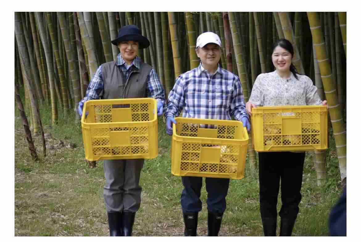 比較されがちなこと