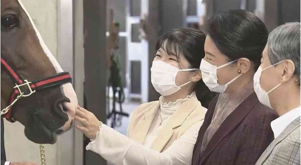 比較されがちなこと