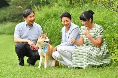 比較されがちなこと