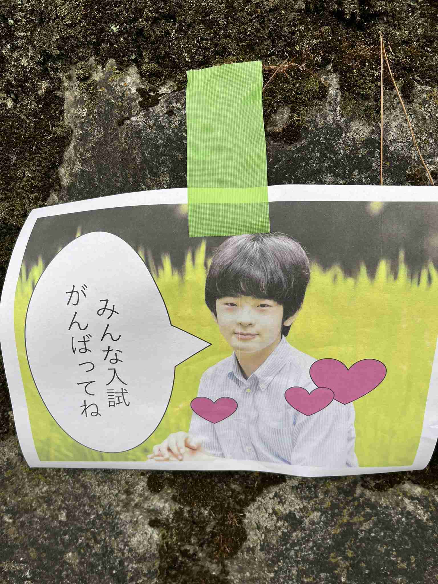 比較されがちなこと