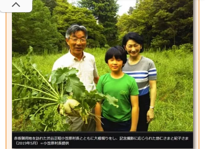 比較されがちなこと