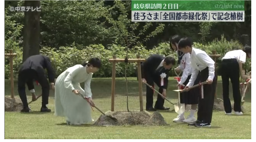 比較されがちなこと