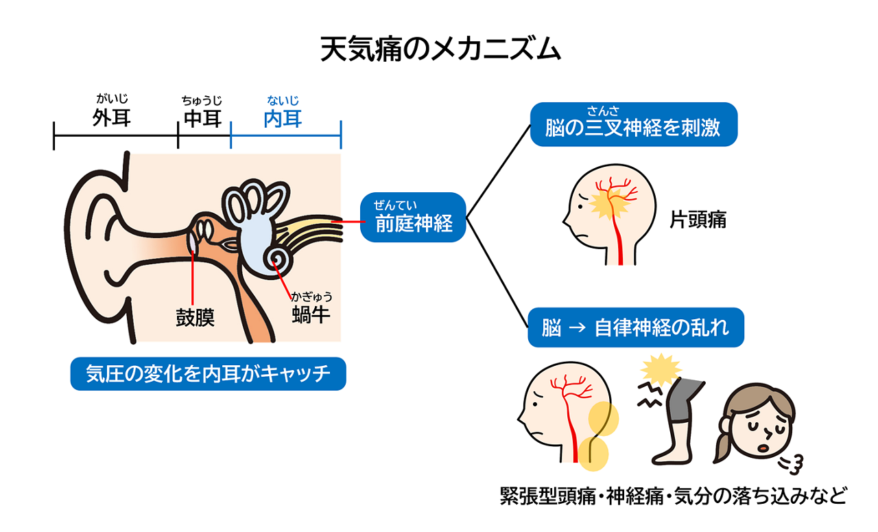 体調不良で病院行ったのに、否定されたり病名がつかなかった経験した事ある人