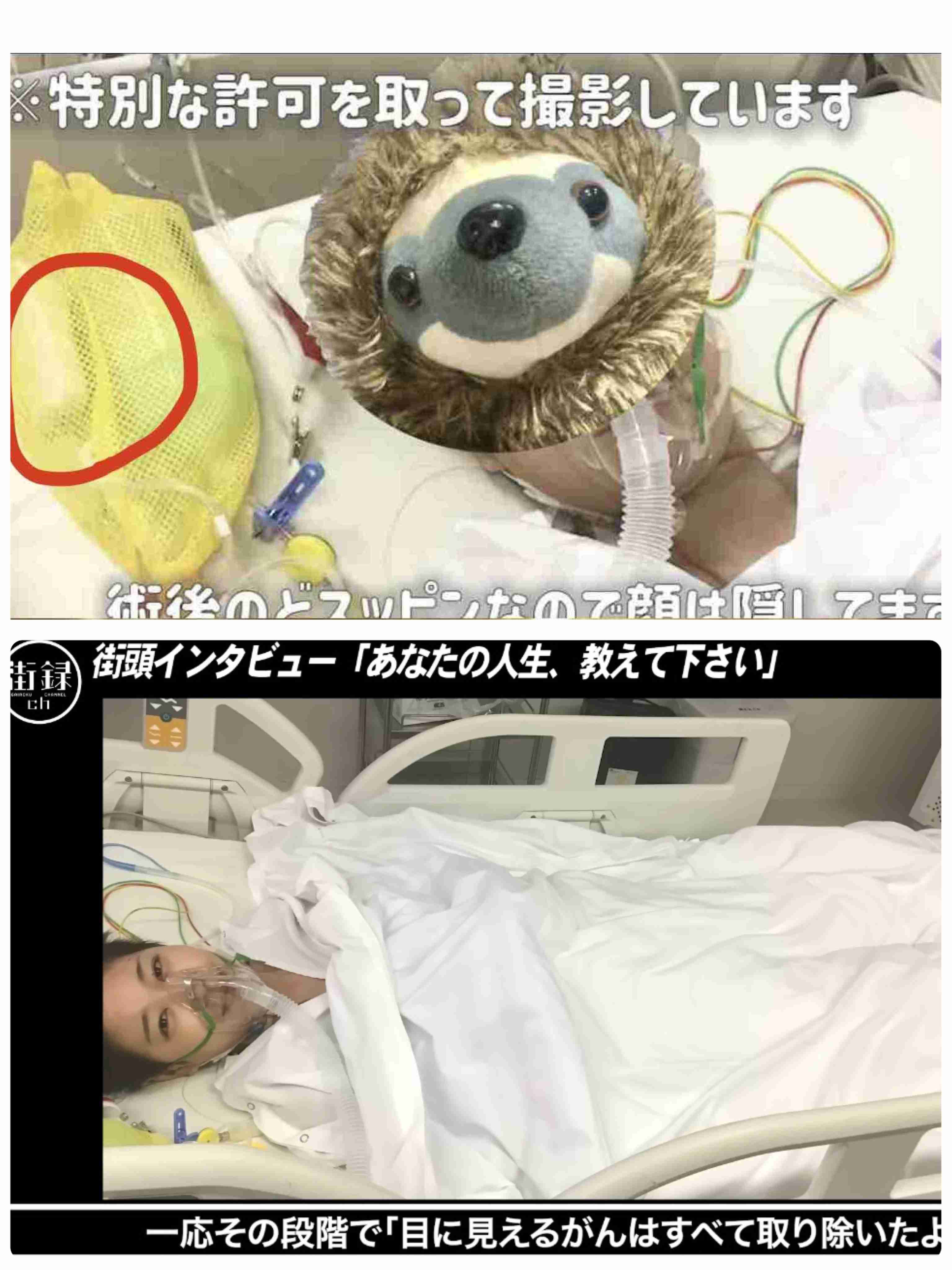 すい臓がん公表ユーチューバー　がんの肺転移を報告　夫は悲痛「考えられる限り最悪の形だった」