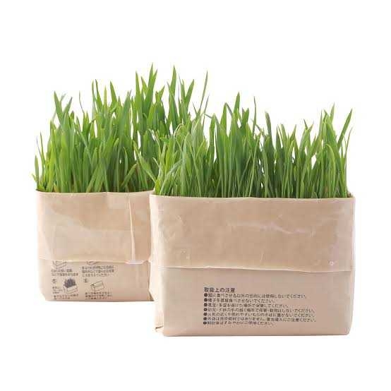 無印良品のオススメ