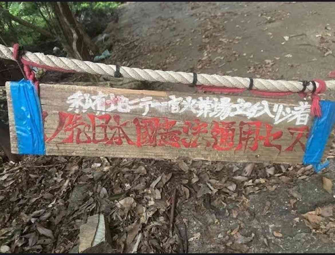 林原めぐみ、韓国YouTuber見てブログに「まさかの報道規制」「テレビも放送しない内容」...波紋広がり一部削除