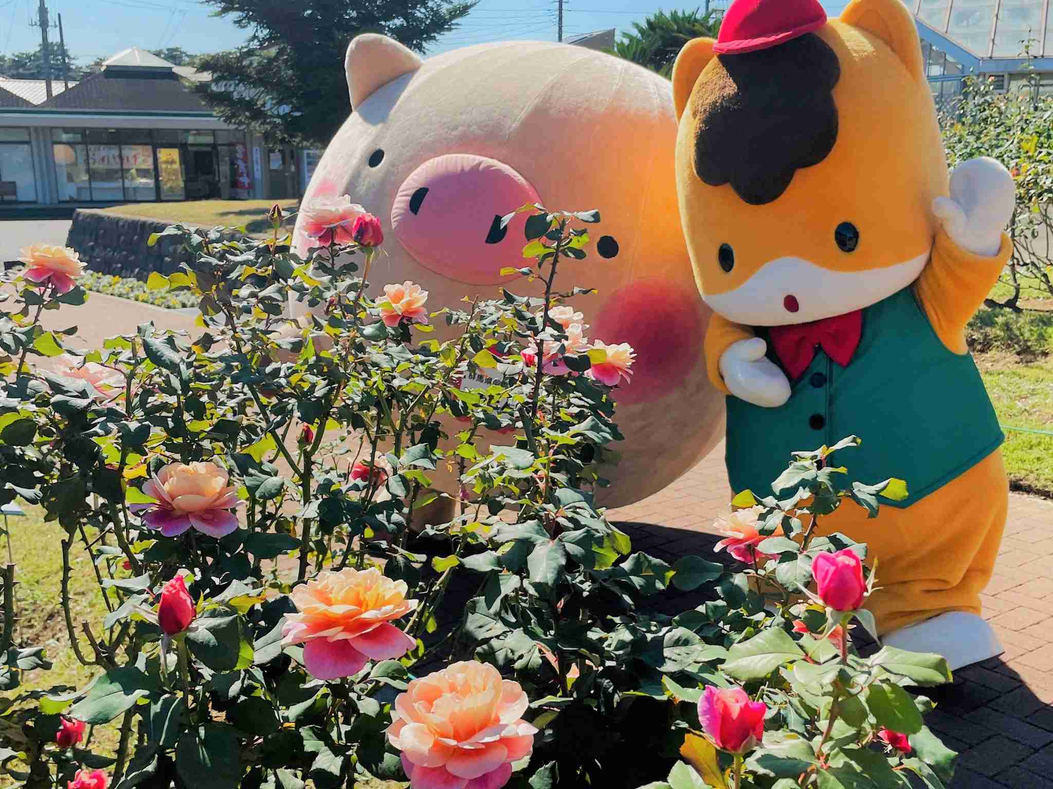 ぐんまちゃんを語りたいPart2