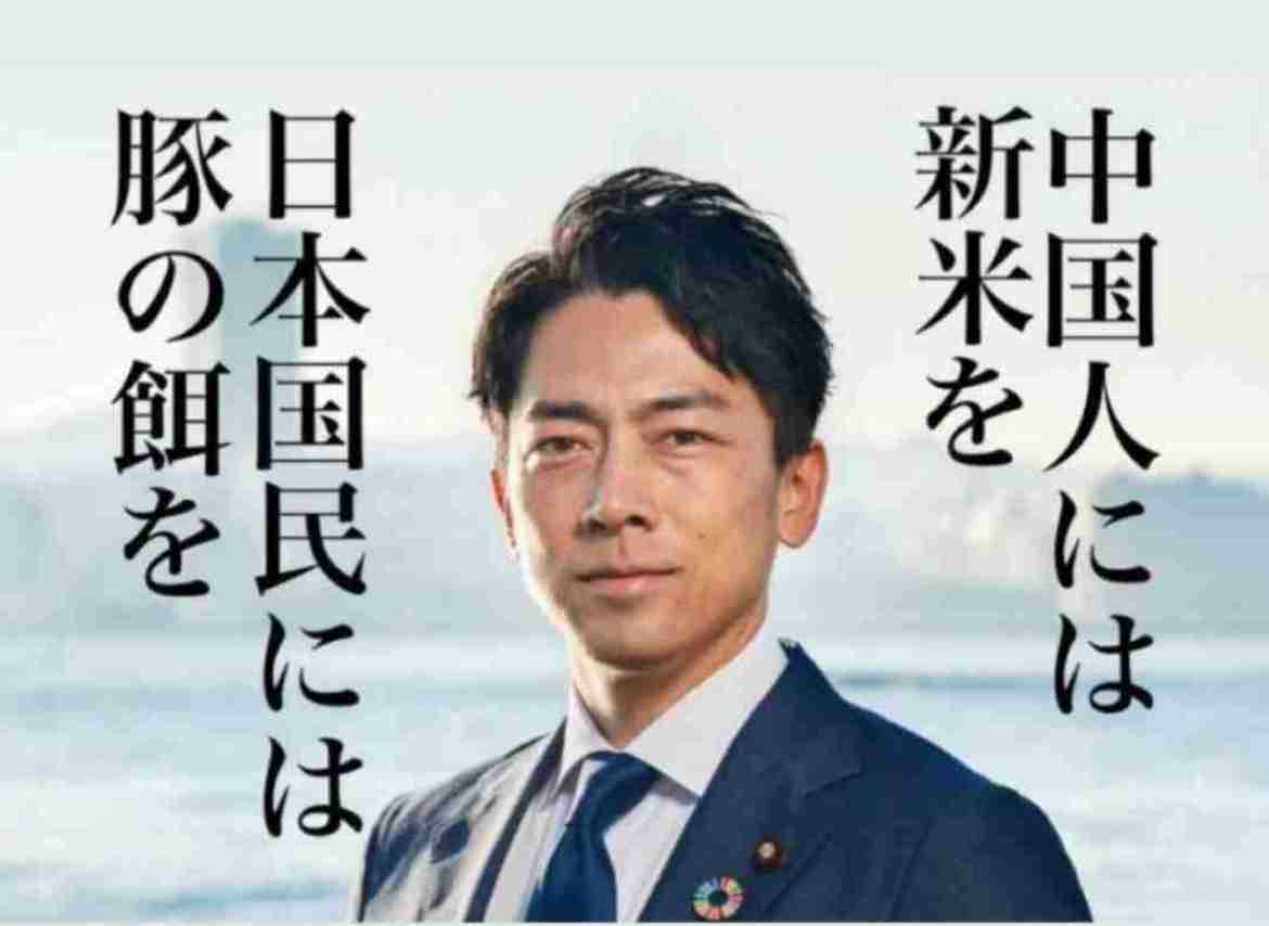 自民、物価高で給付検討 参院選公約、税収増還元
