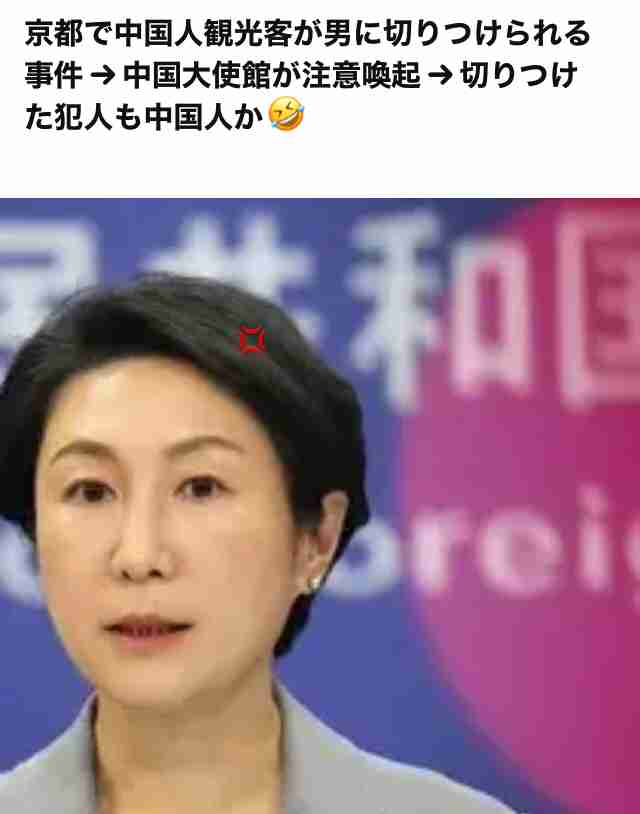 被害者の中国人観光客 「声が大きい」直前に中国語で口論していた男を注意して切り付けられたか 京都