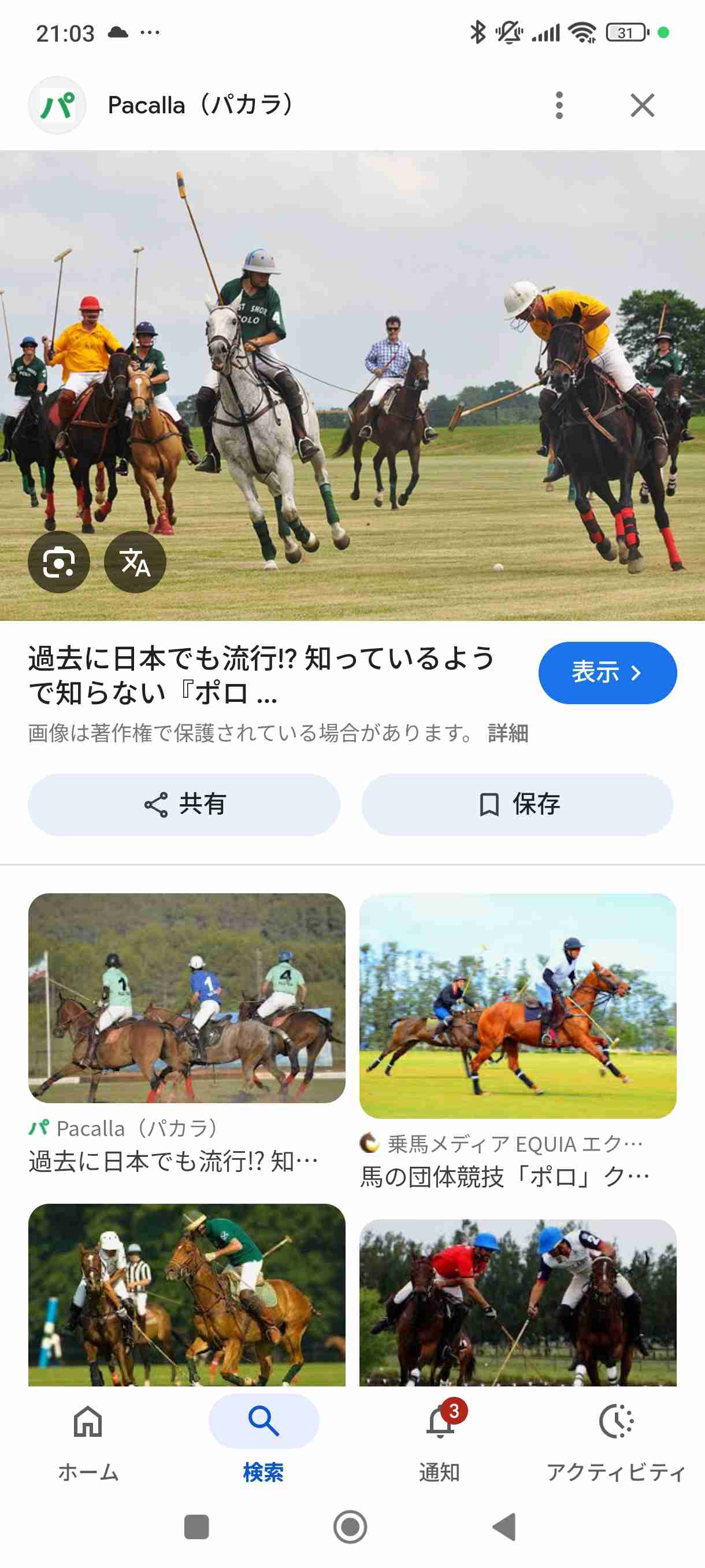 飛んできたハチを飲み込んで…インドの富豪が英国で急死　