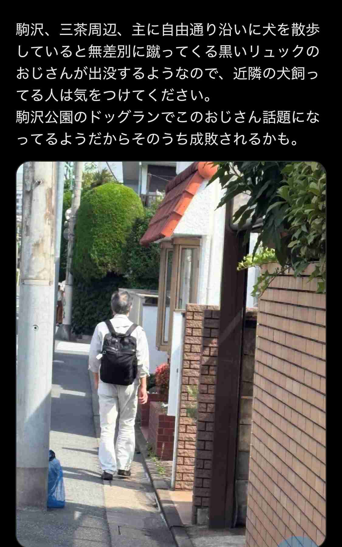 オカリナ “ぶつかりおじさん”に怒り「なんでぶつかってくんの?」痴漢にも「電車乗るなよ」