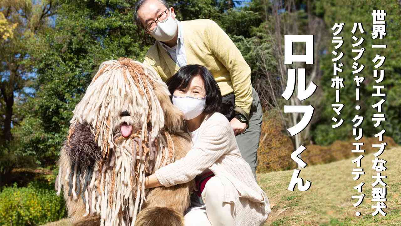 大型犬の画像下さい