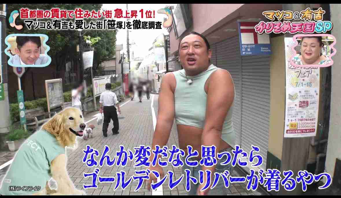 大型犬の画像下さい
