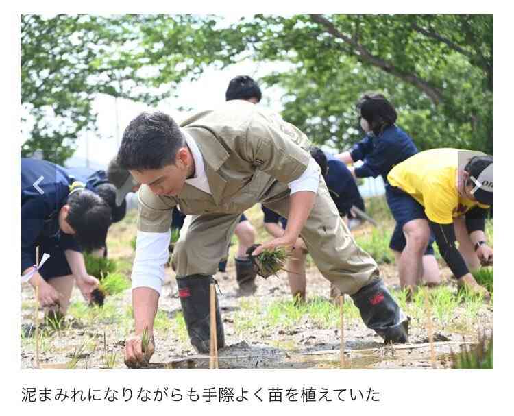 「まぶしすぎました…」俳優・市原隼人さんがやってきた!高校生たちとともに名物・田んぼアートに田植え 青森県田舎館村