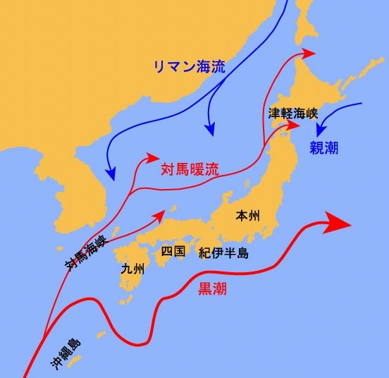 ロシア原発、日本海沿岸候補地に　2基建設の工程表を承認