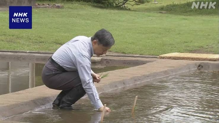 ローラ“裸足で田植え論争”に強烈反論？　畑の上で取った“衝撃行動”で示す強い意思とは