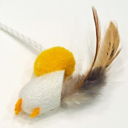 買って失敗したペット用品
