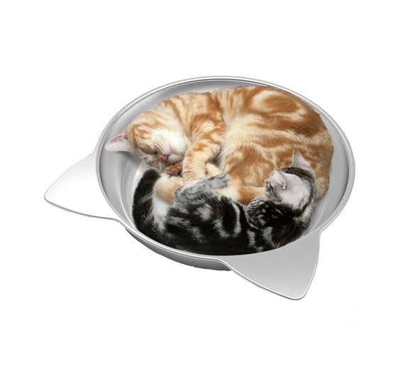 買って失敗したペット用品