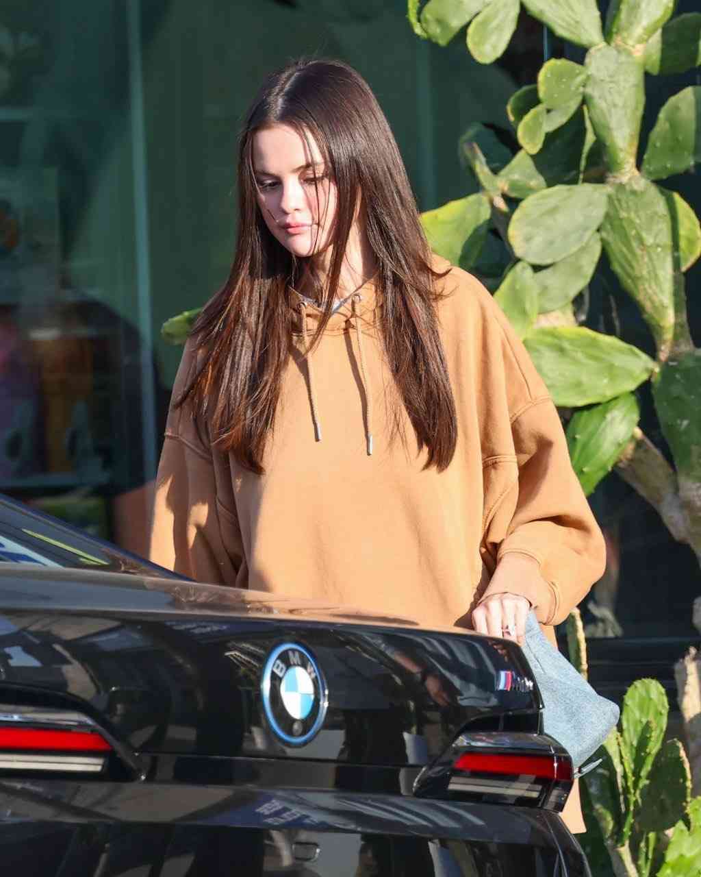 セレーナ・ゴメスとヘイリー・ビーバーがインスタグラムでお互いフォロー解除