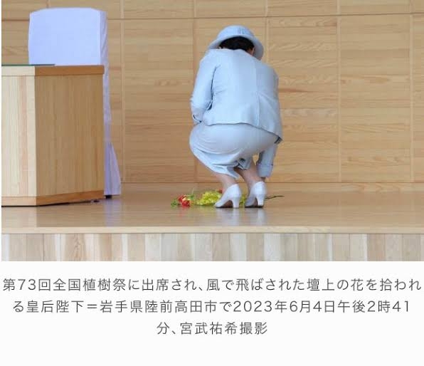 比較されがちなこと