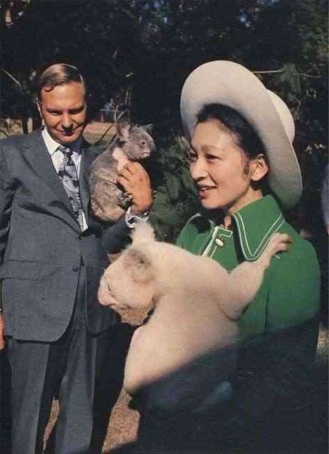 比較されがちなこと