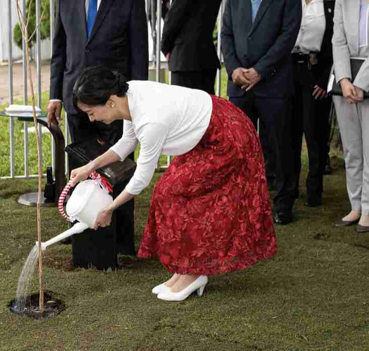 比較されがちなこと